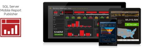 Mobile - SSRS Mobile Report Publisher.JPG